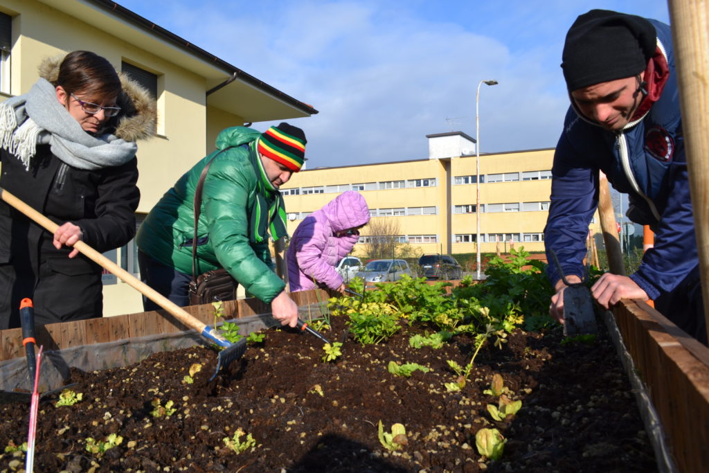 ragazzi a lavoro nell'orto sociale