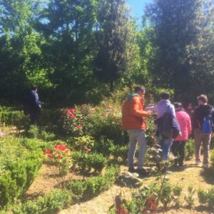 Colori ai giardini terapeutici 6 - cut