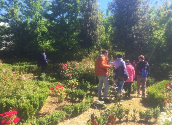 Colori ai giardini terapeutici 6 - cut