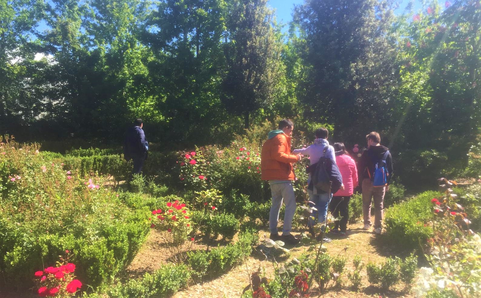 Colori ai giardini terapeutici 6 - cut