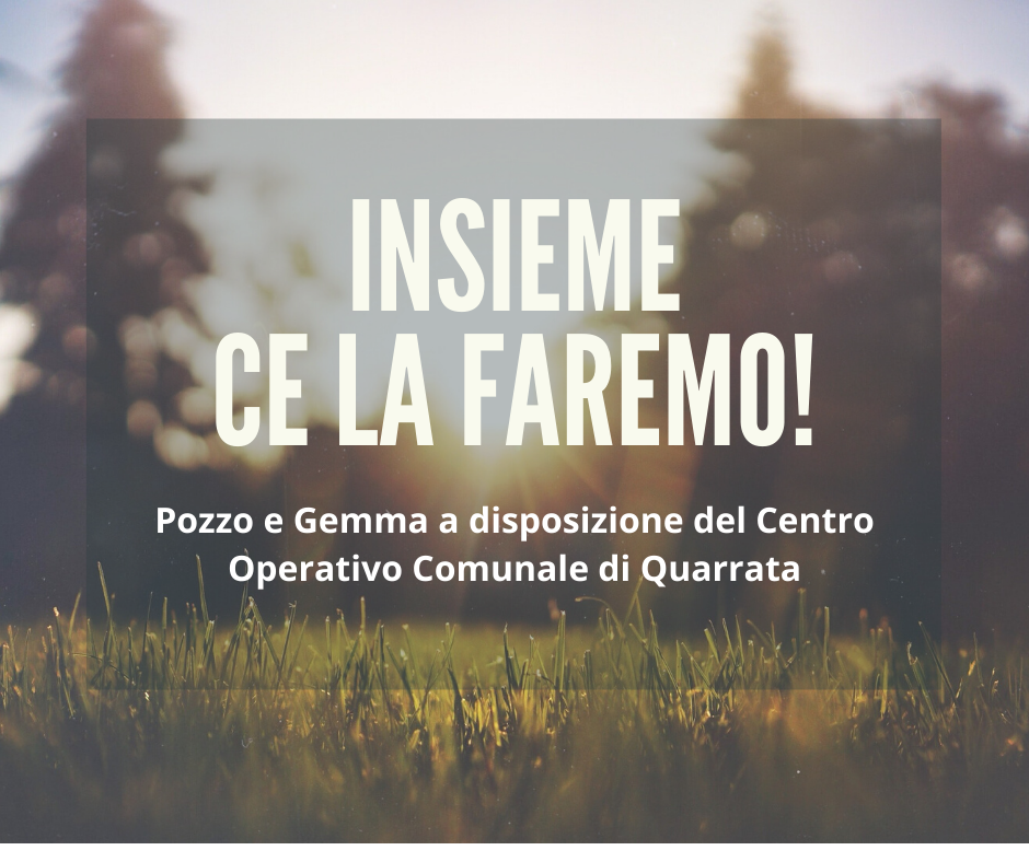 insieme ce la faremo